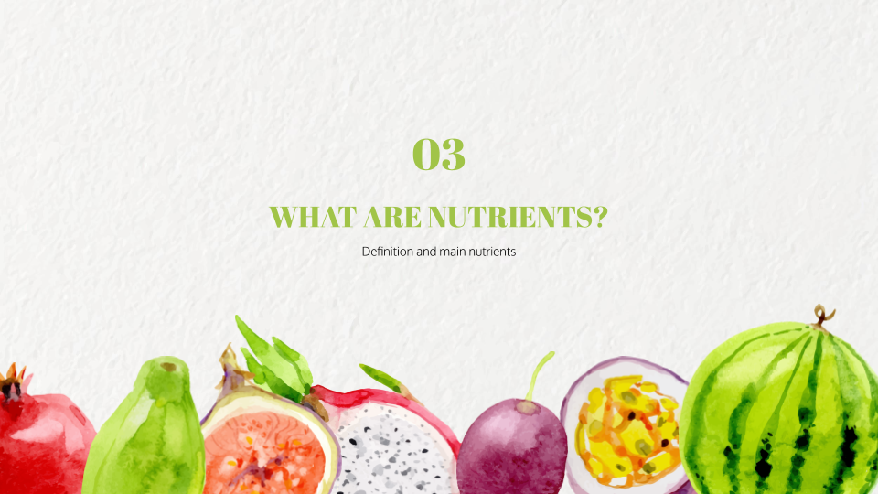 Nutrition Workshop photo 2